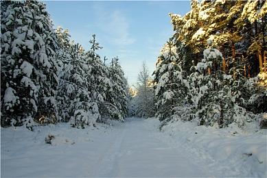 《守望先锋2》出现搞笑Bug 导致许多角色变成秃头