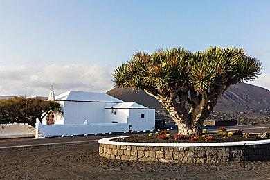 《荒野大镖客2》搞笑MOD 枪比人大的狂野西部