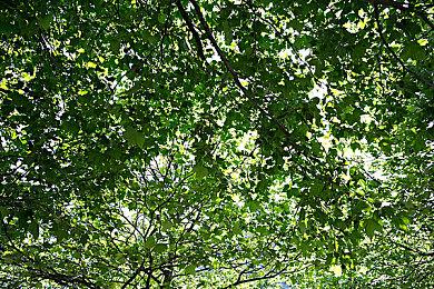 《霓虹深渊》DLC今日更新 新增5个Boss